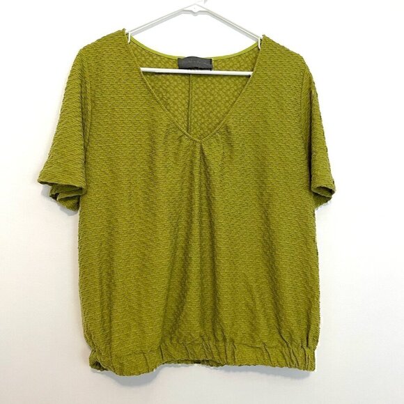 SUNDAY IN BROOKLYN ANTHROPOLOGIE ANTHRO Sidonie V-Neck Top Green Textured Blouse - Picture 3 of 12